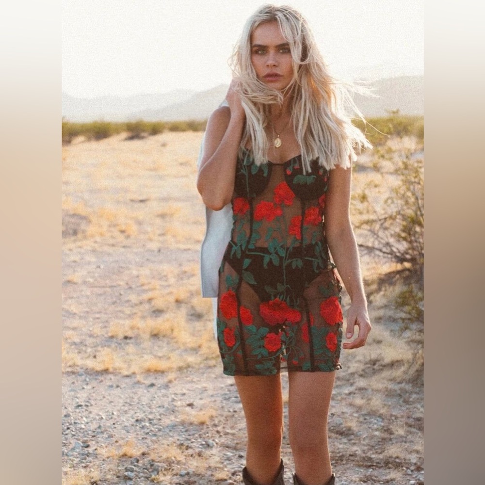Jagger & Stone Frida Rose Mesh Dress